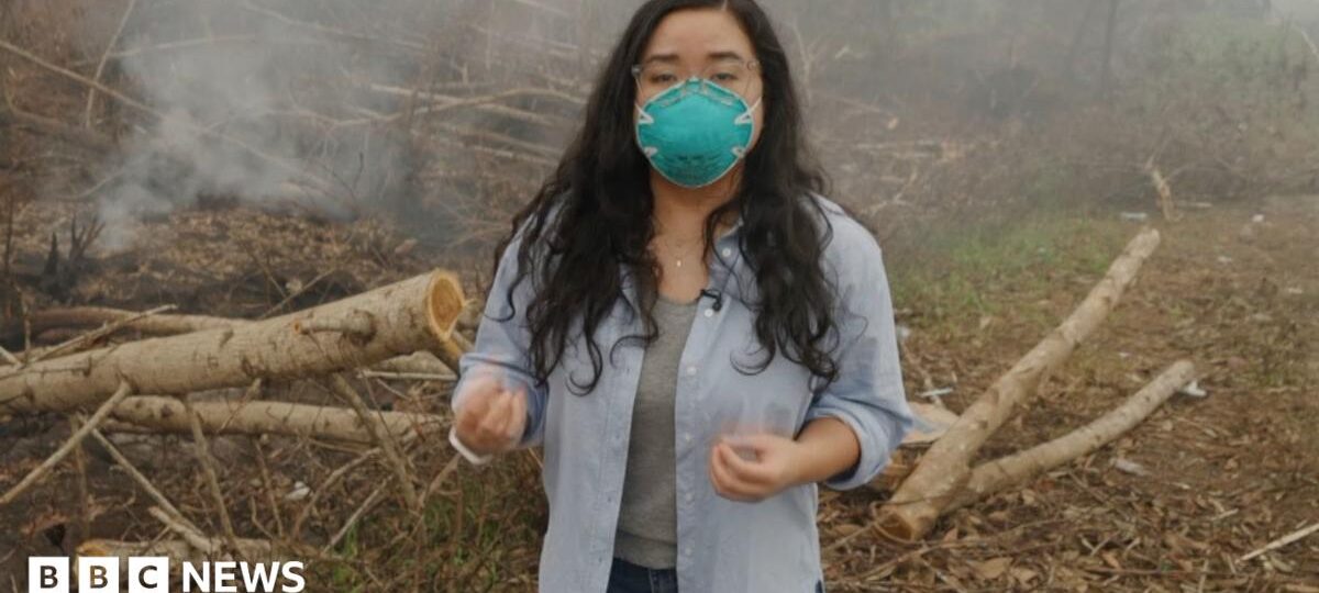 BBC visits wildfire front in haze-choked Indonesia