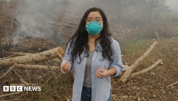 BBC visits wildfire front in haze-choked Indonesia