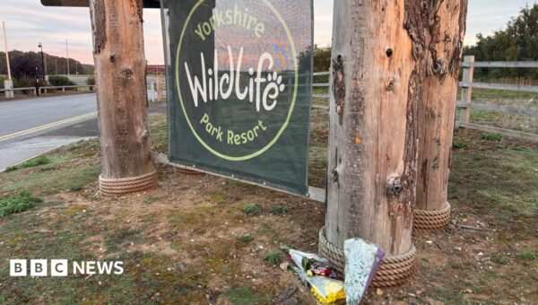 Wildlife park closed for third day after tiger attack