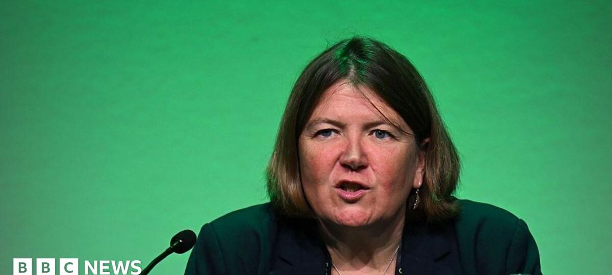 Green Party wants to make sure it is 'not vulnerable to extremists'