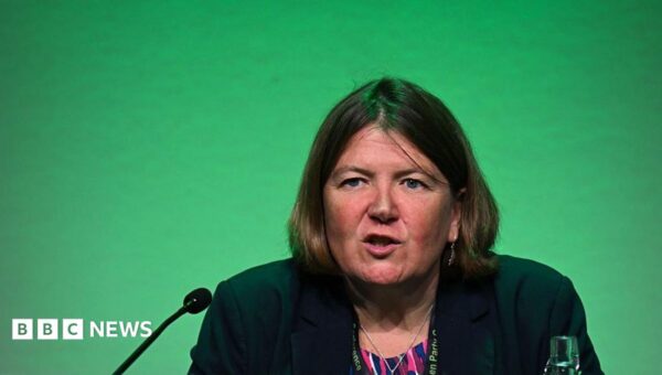 Green Party wants to make sure it is 'not vulnerable to extremists'