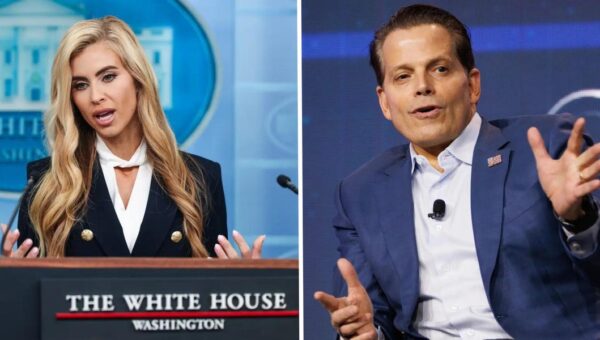 The new White House press secretary is out, and Anthony Scaramucci has thoughts
