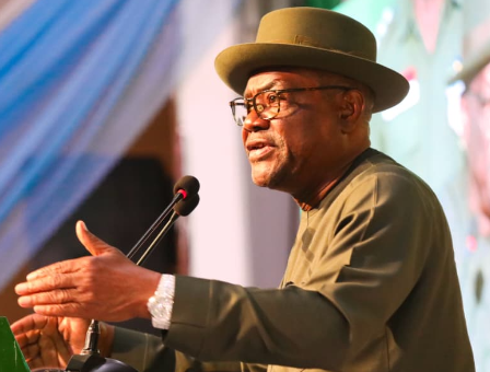 2027: Wike says PDP members across states must support Tinubu