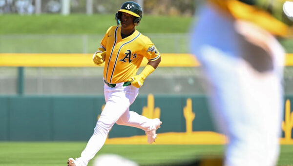 Elephant Rumblings: AFL Begins; Still Waiting For A GM