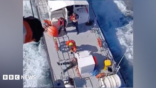 Zelensky condemns ‘horrific’ Russian strike on boat carrying corn in Black Sea