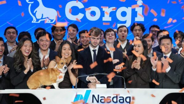 Buzzy insurtech Corgi is hiring experienced investment bankers. The catch? The pay is commission-only.