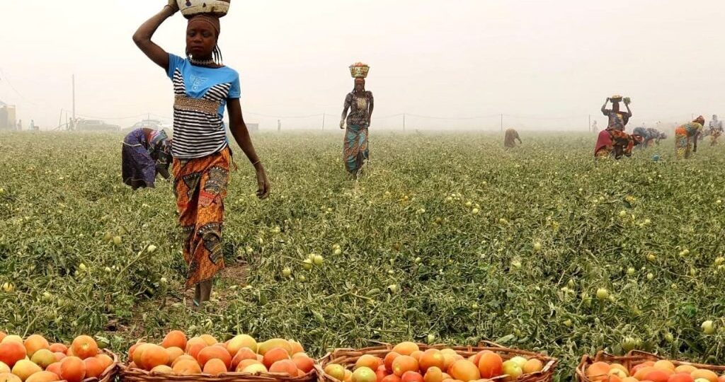 FG moves to secure farms, attract investors