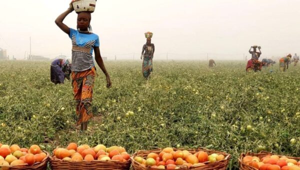FG moves to secure farms, attract investors
