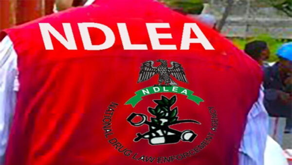 NDLEA: No payment for drug tests by Interior Ministry recruits