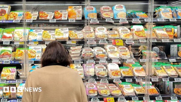 French supermarket fridges heated to 50C in ‘unprecedented’ cyber attack