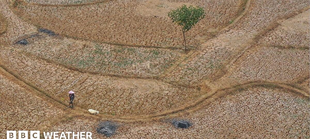 Five ways El Niño is affecting the weather around the world