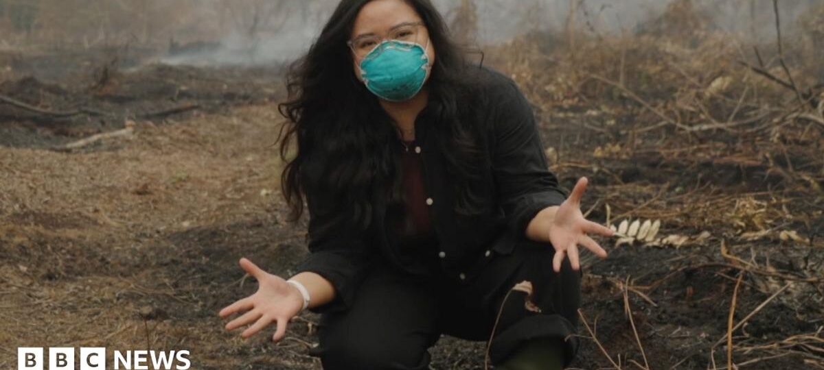 Why is a peat fire so bad? BBC is in Indonesia to find out