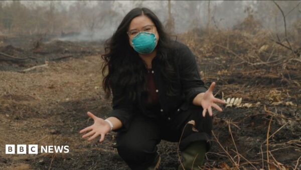 Why is a peat fire so bad? BBC is in Indonesia to find out