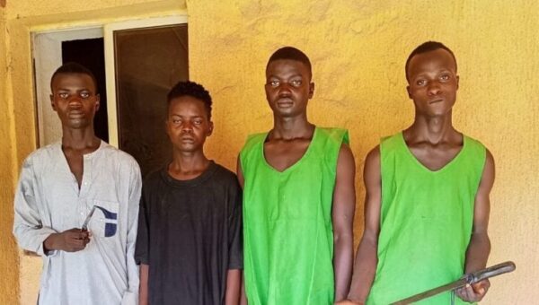 Adamawa court jails four ‘Shilla boys’ for illegal possession of arms