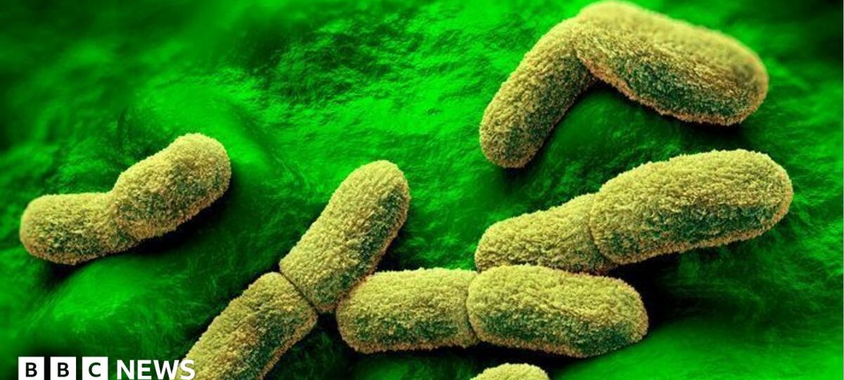 US 'watching closely' after plague researcher dies in Russia, Rubio says