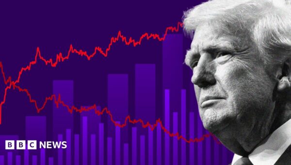 Where the US midterm elections will be won and lost