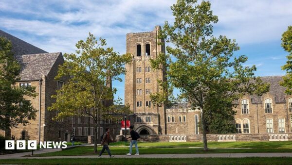 Woman at centre of Cornell University rape inquiry in ‘constant fear’, lawyer says