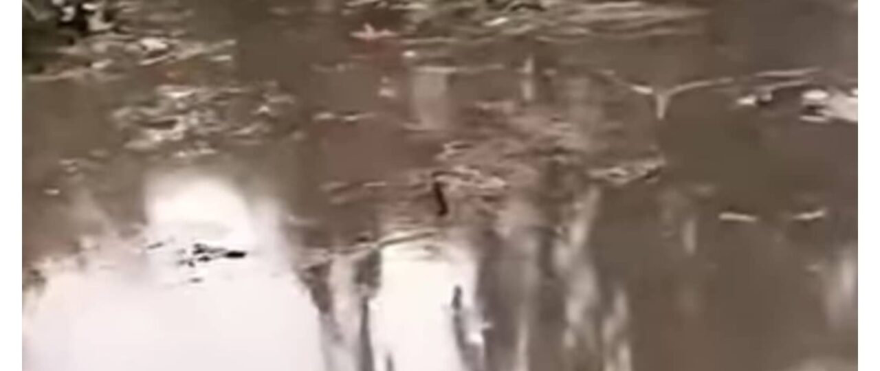 Swamp impedes NAF crash recovery, aircraft still submerged – Police give update