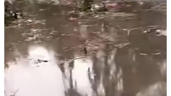 Swamp impedes NAF crash recovery, aircraft still submerged – Police give update