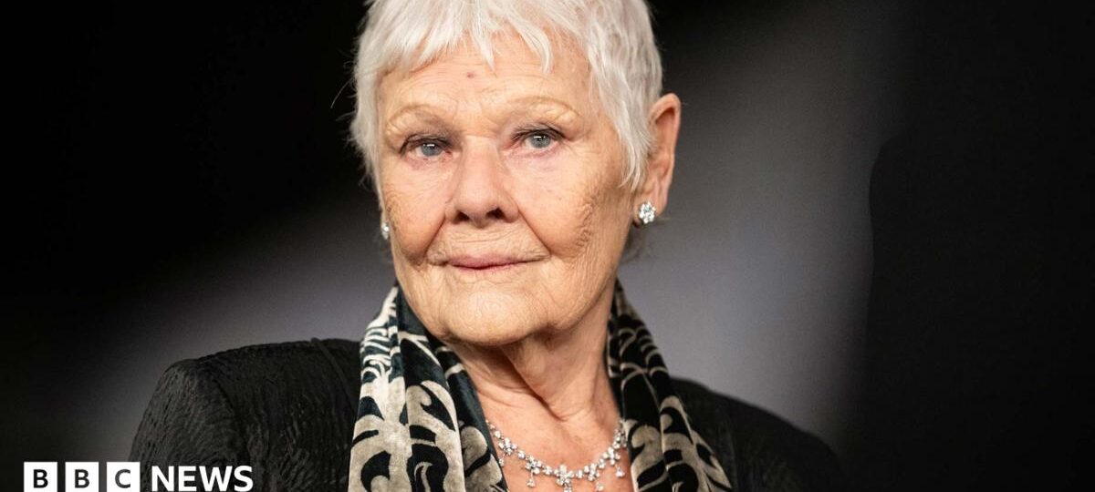 Dame Judi Dench: 'I can't do a play, a film or read any more'