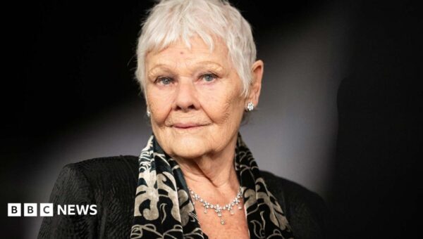 Dame Judi Dench: ‘I can’t do a play, a film or read any more’