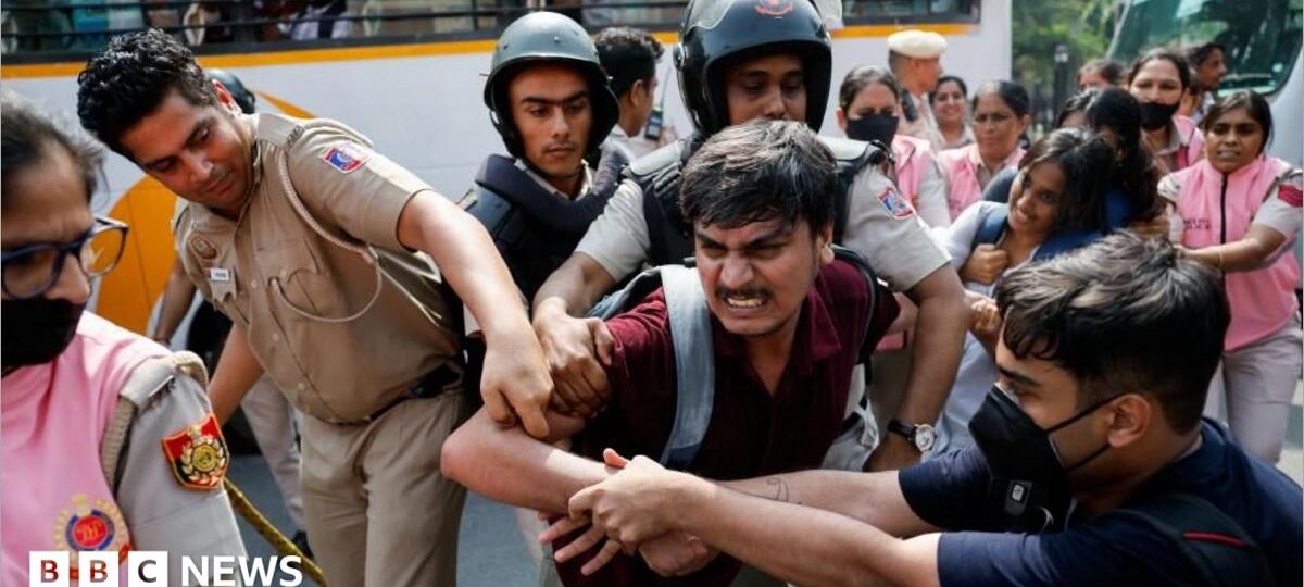 'Cockroach' group leaders among hundreds detained in Delhi protest