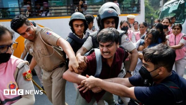 'Cockroach' group leaders among hundreds detained in Delhi protest