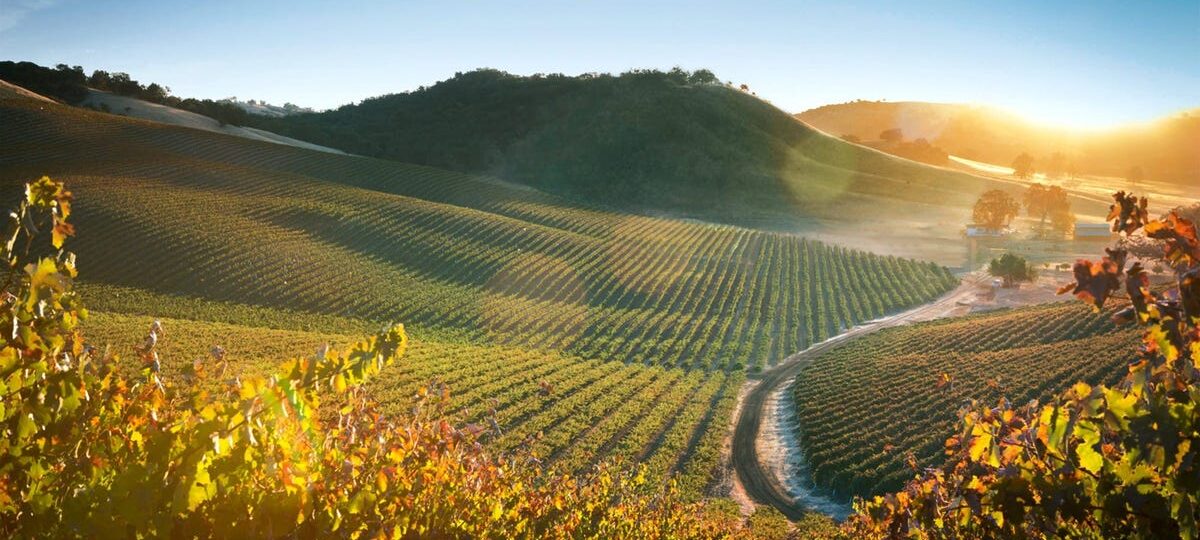 My favorite hidden gem in California has incredible food and wine — and it's more affordable than Napa Valley