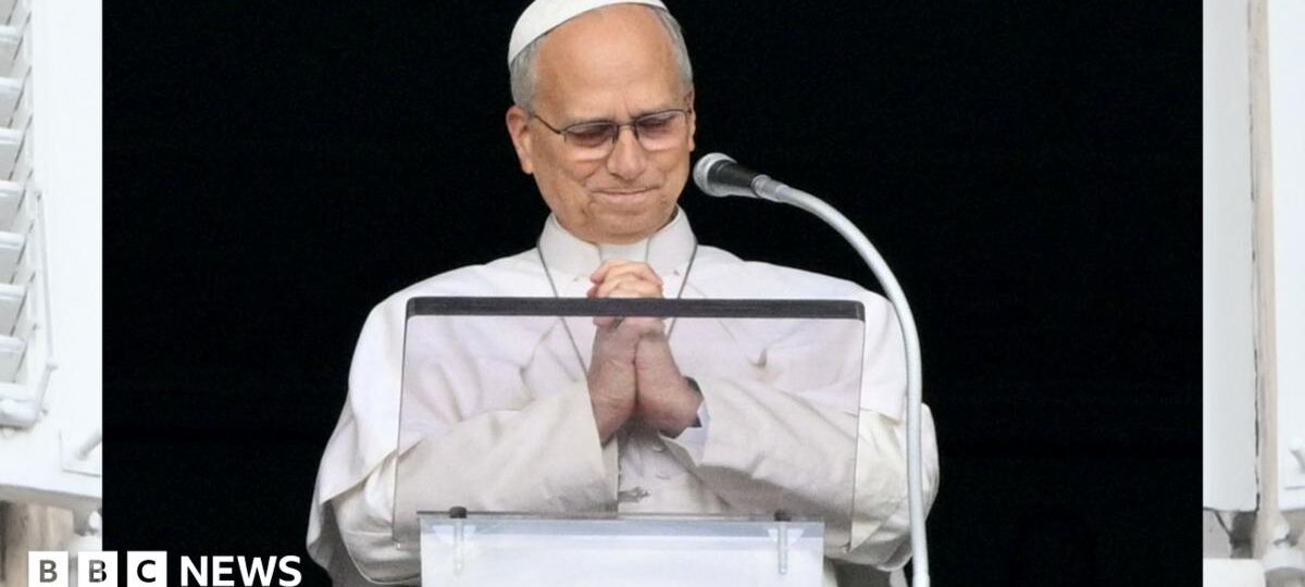 Watch: Pope thanks well-wishers in first event after cancer surgery