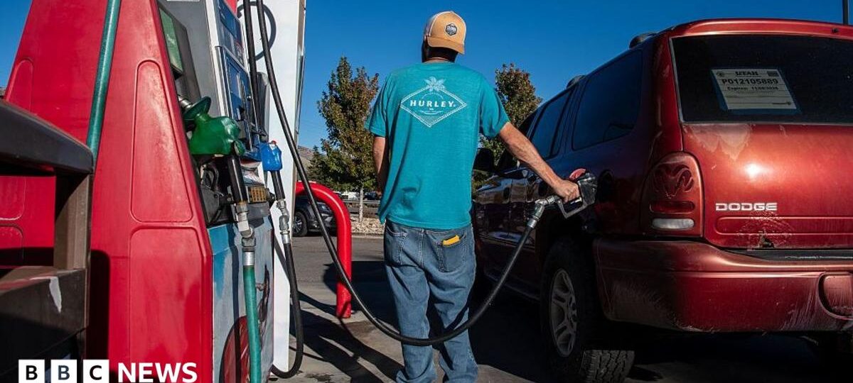 Trump wants to reduce the cost of fuel as the midterms loom - will it work?