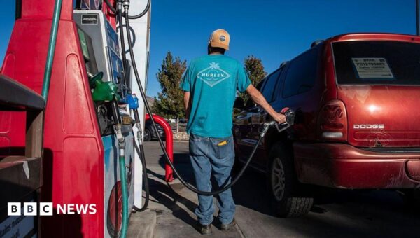 Trump wants to reduce the cost of fuel as the midterms loom – will it work?