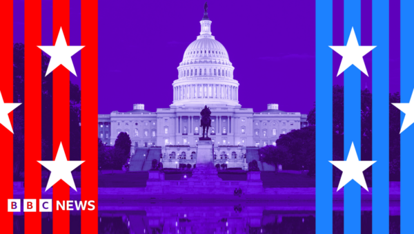 A simple guide to the US midterms
