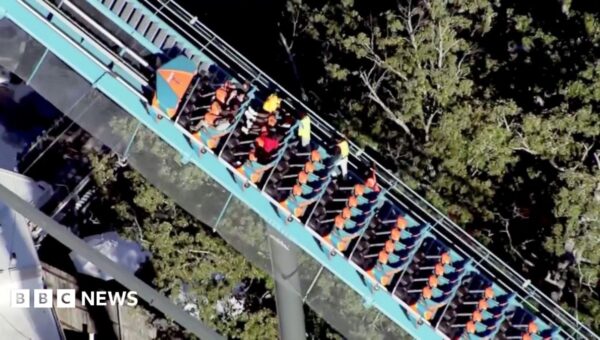 What we know about the man who died falling from a Six Flags rollercoaster
