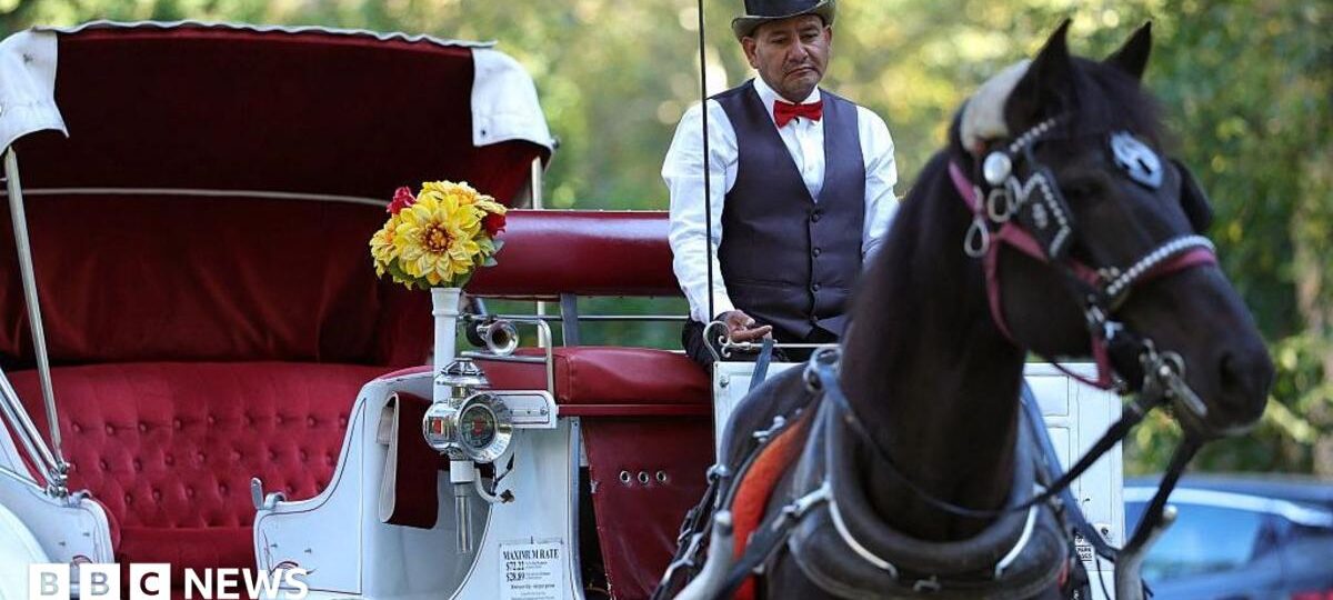 Some New Yorkers hail ban on horse-drawn carriages, but drivers fear for incomes