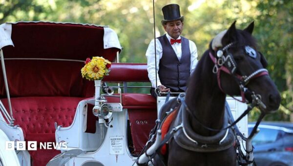 Some New Yorkers hail ban on horse-drawn carriages, but drivers fear for incomes