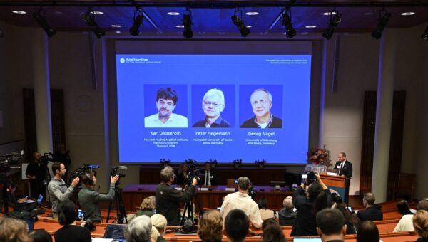 Who Won the Nobel Prize in Medicine 2026? Meet the 3 Scientists