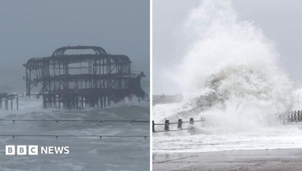 Watch: Trees ripped up as Storm Austen batters Britain