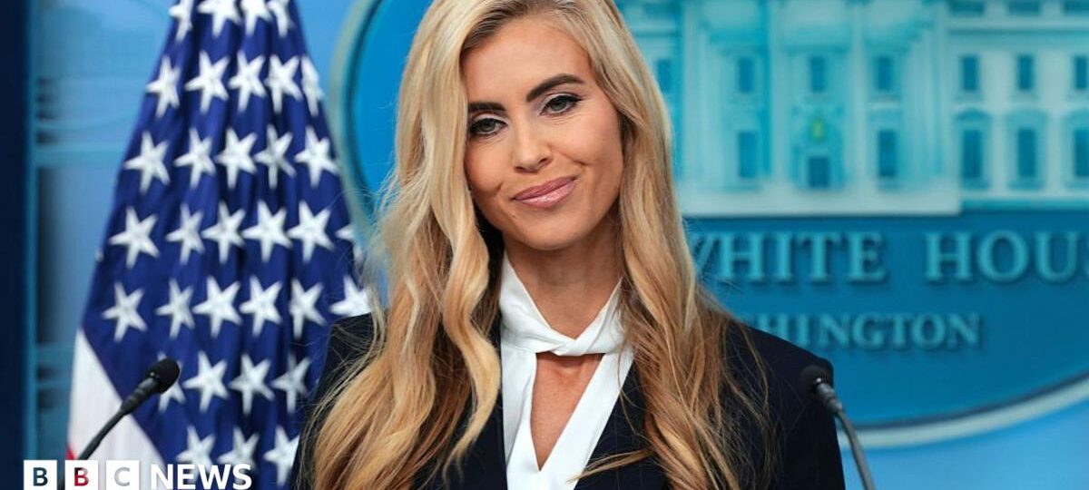 White House defends new press secretary amid questions about her legal credentials