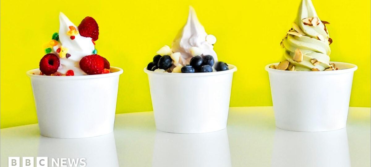 Froyo's made a comeback. But at £12 a tub will it last?