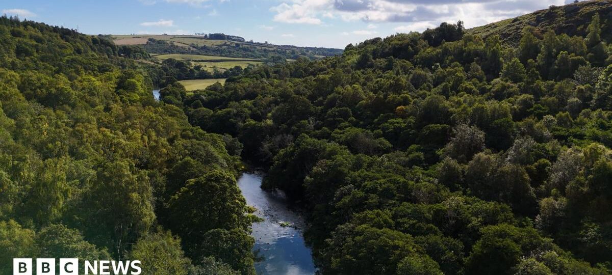 Attenborough-backed appeal secures £30m estate