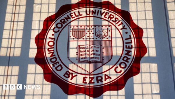 Ex-student says embattled Cornell University head doubted her gang-rape allegation
