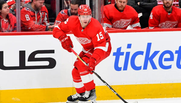 Former Red Wings Player in Doghouse