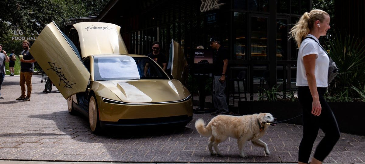 Elon Musk says Tesla is trying to prevent robotaxis from running over cats at night