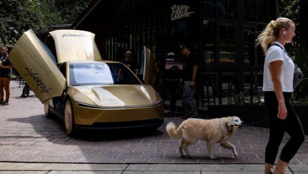 Elon Musk says Tesla is trying to prevent robotaxis from running over cats at night
