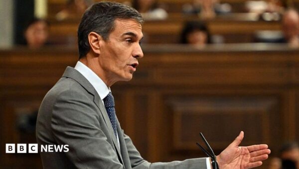 Spanish PM Sánchez loses key housing crisis vote after eviction of woman, 87