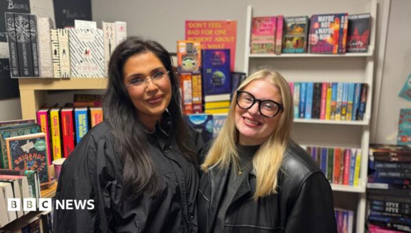 ‘I love to escape into a fantasyland of fairies’: Fans rejoice as latest Sarah J Maas book hits shelves