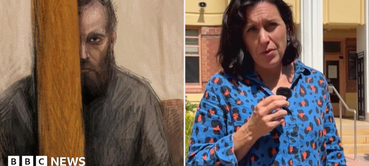 What happened inside court for man charged with Australian MP attack