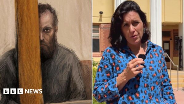 What happened inside court for man charged with Australian MP attack