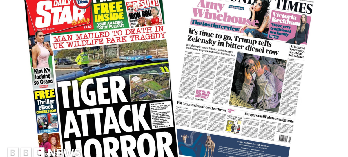 'Tiger attack horror' and Trump tells Zelensky 'time to go'