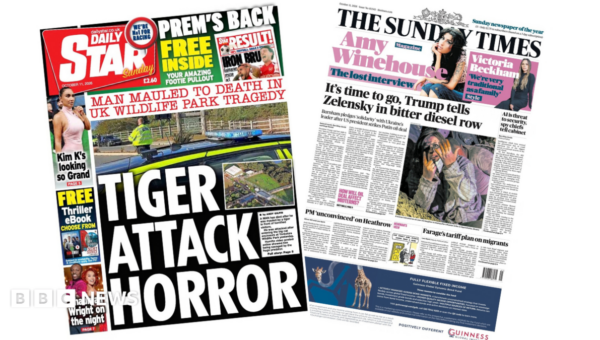 ‘Tiger attack horror’ and Trump tells Zelensky ‘time to go’